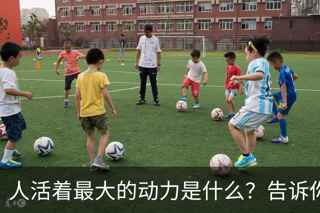 人活着最大的动力是什么？告诉你：没有子孙后代就没有什么盼头